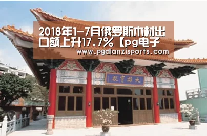 pg电子平台入口官网