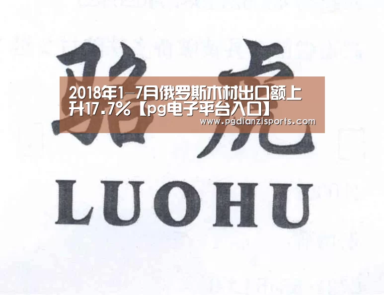 pg电子平台入口官网