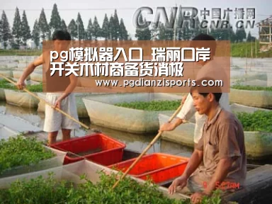 pg模拟器入口