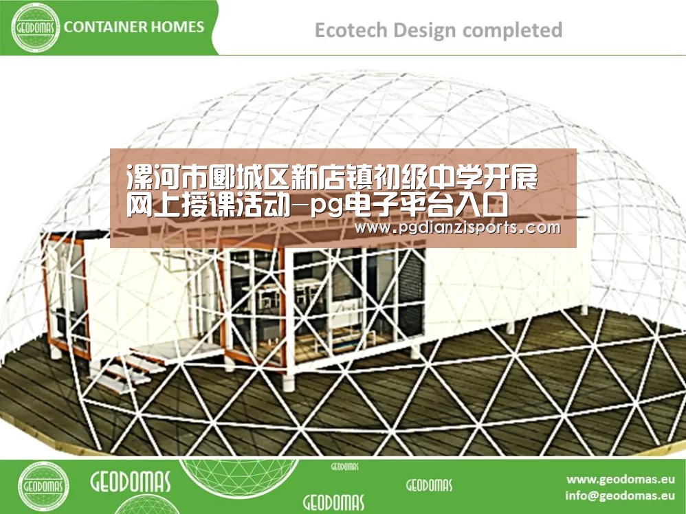 漯河市郾城区新店镇初级中学开展网上授课活动-pg电子平台入口(图2) pg模拟器入口