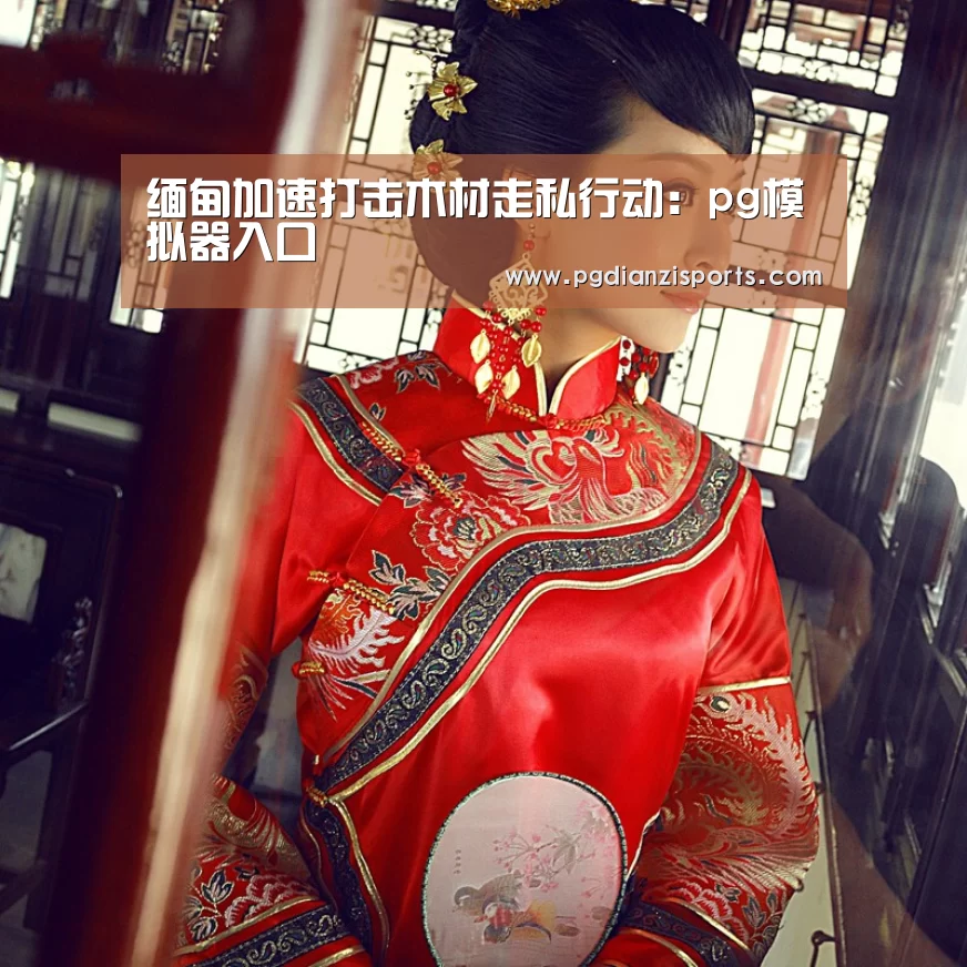 缅甸加速打击木材走私行动:pg模拟器入口(图1) pg模拟器入口