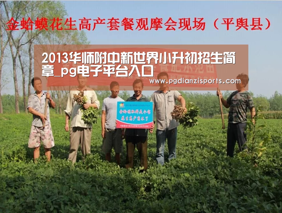 2013华师附中新世界小升初招生简章_pg电子平台入口(图3) pg电子平台入口