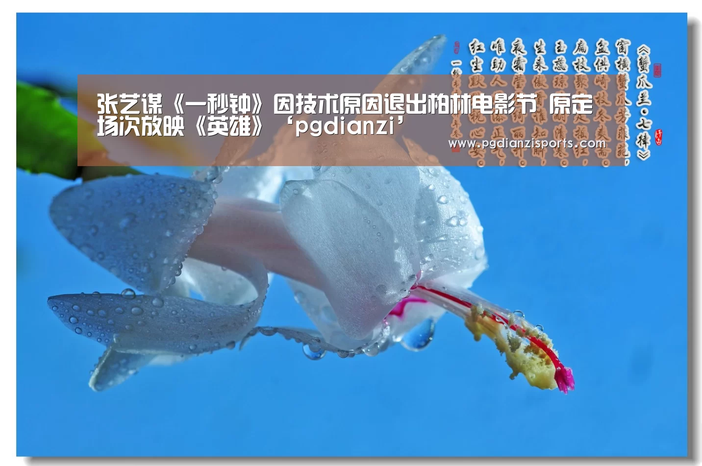 张艺谋《一秒钟》因技术原因退出柏林电影节 原定场次放映《英雄》‘pgdianzi’(图2) 张艺谋《一秒钟》因技术原因退出柏林电影节 原定场次放映《英雄》‘pgdianzi’(图2)