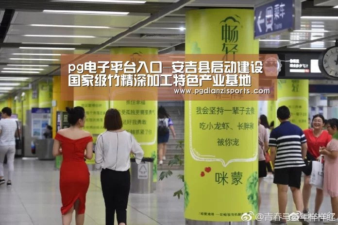 pg电子平台入口-安吉县启动建设国家级竹精深加工特色产业基地(图1) pg模拟器入口