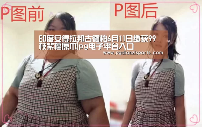 印度安得拉邦古德柏6月11日缴获99枝紫檀原木|pg电子平台入口(图3) 印度安得拉邦古德柏6月11日缴获99枝紫檀原木|pg电子平台入口(图3)