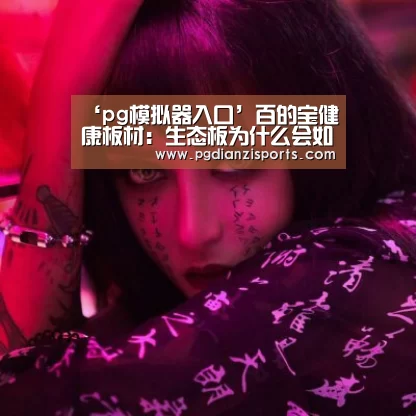 pg模拟器入口