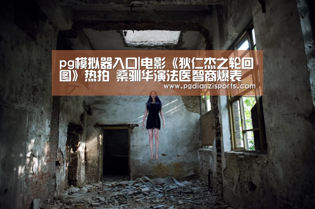 pg模拟器入口