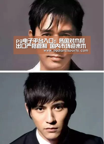 pg模拟器入口