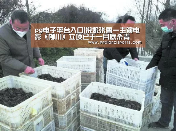 pg电子平台入口|倪妮张鲁一主演电影《柳川》立项已于一月底杀青(图1) pg电子平台入口