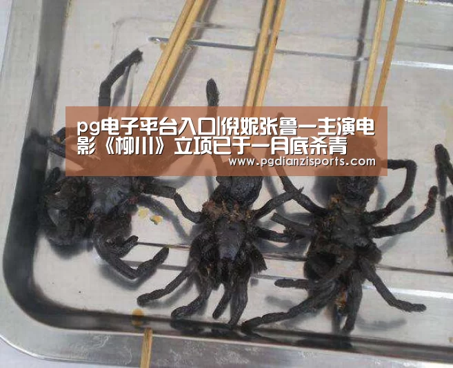 pg电子平台入口|倪妮张鲁一主演电影《柳川》立项已于一月底杀青(图4) pg模拟器入口