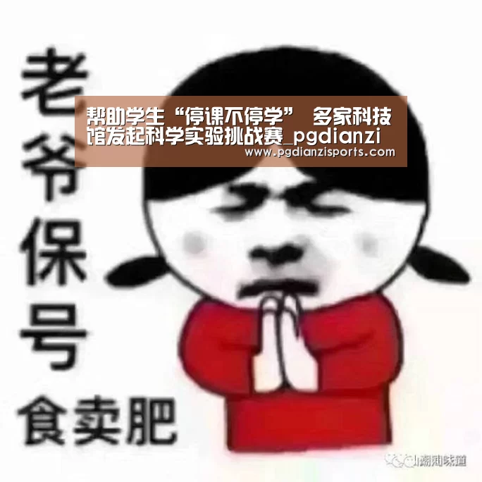 pg模拟器入口