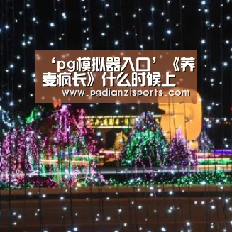 pg电子平台入口官网