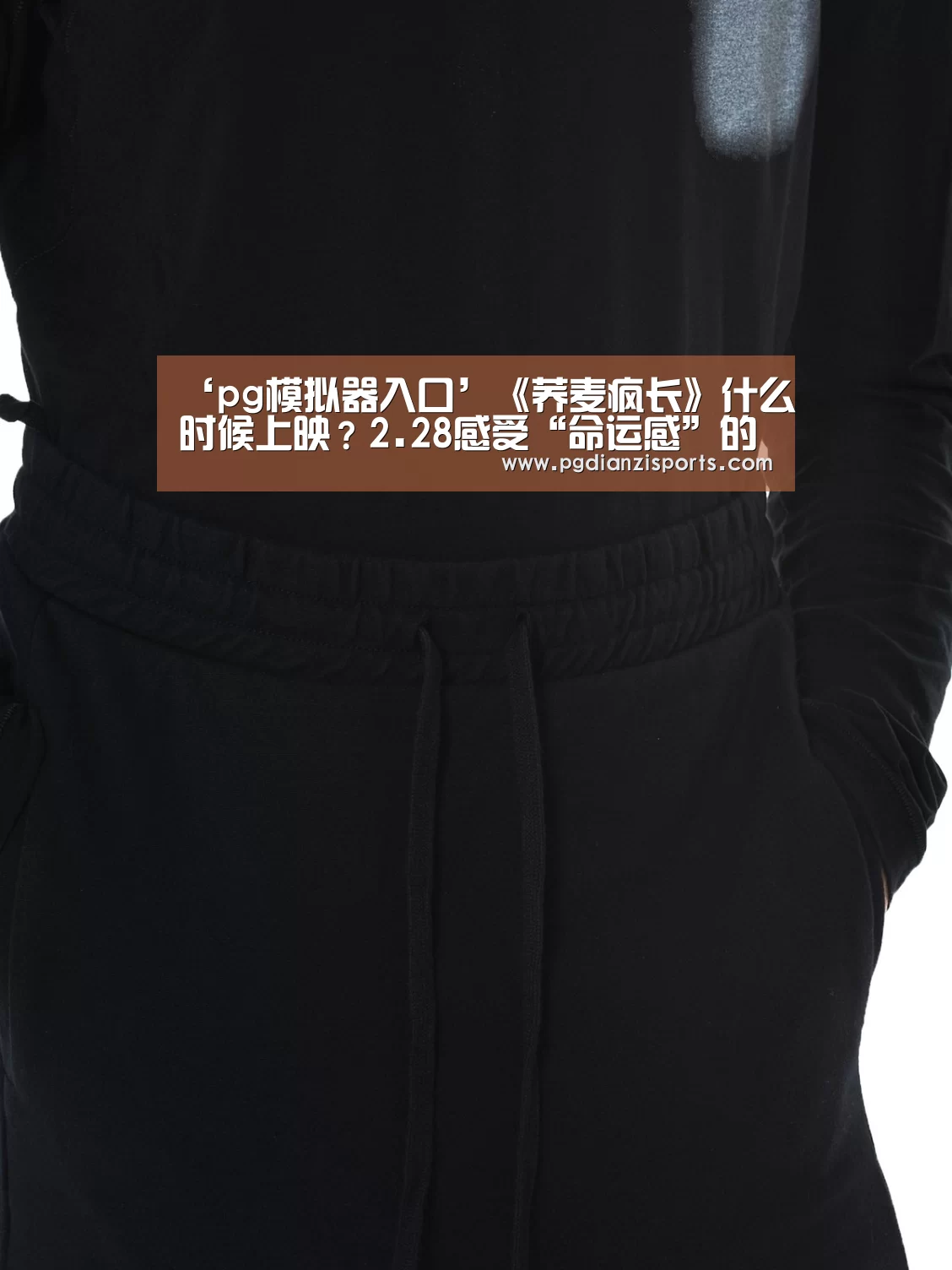 pg电子平台入口官网